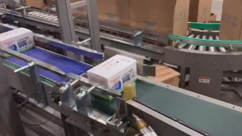 Línea de Envasado de Cajas de Cartón de Leche para Weidendorf